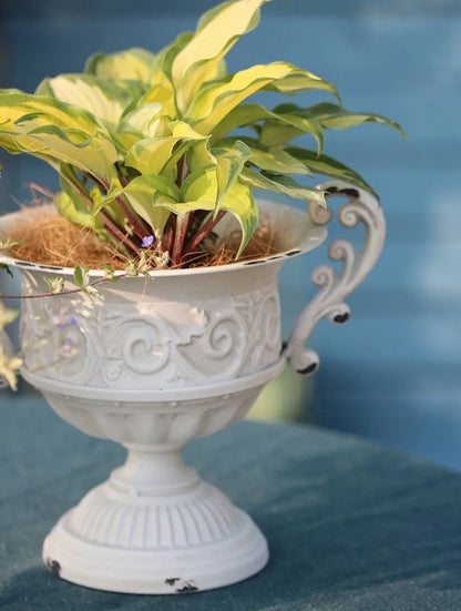 Old Goblet Antique Flower Vase – White Retro European Iron Table Arrangement Container with Handles