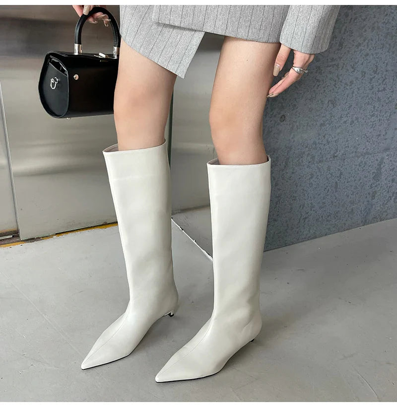 Aneikeh 2025 Fashion Sexy Pointed Low Heel Knee-High Boots – Women's Spring/Autumn PU Western Party Boots (Size 35-40)