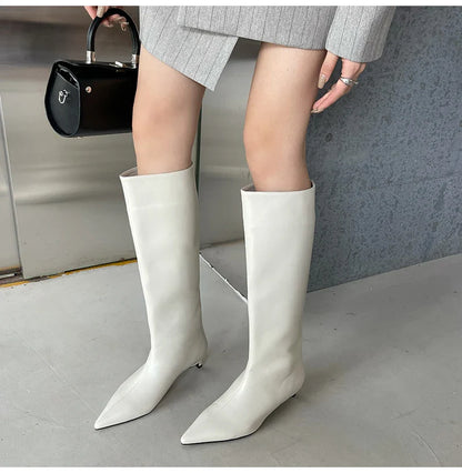 Aneikeh 2025 Fashion Sexy Pointed Low Heel Knee-High Boots – Women's Spring/Autumn PU Western Party Boots (Size 35-40)
