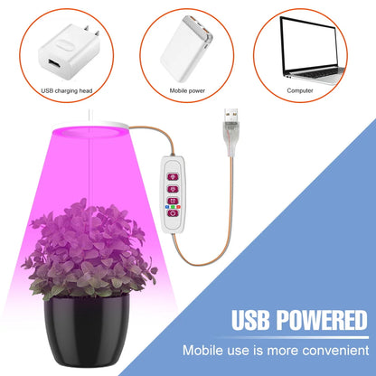 LED Phytolamp Indoor Grow Lights - Full Spectrum Hydroponics Plant Lamp for Flower Seeds Cultivation - DC5V USB LED Growth Light