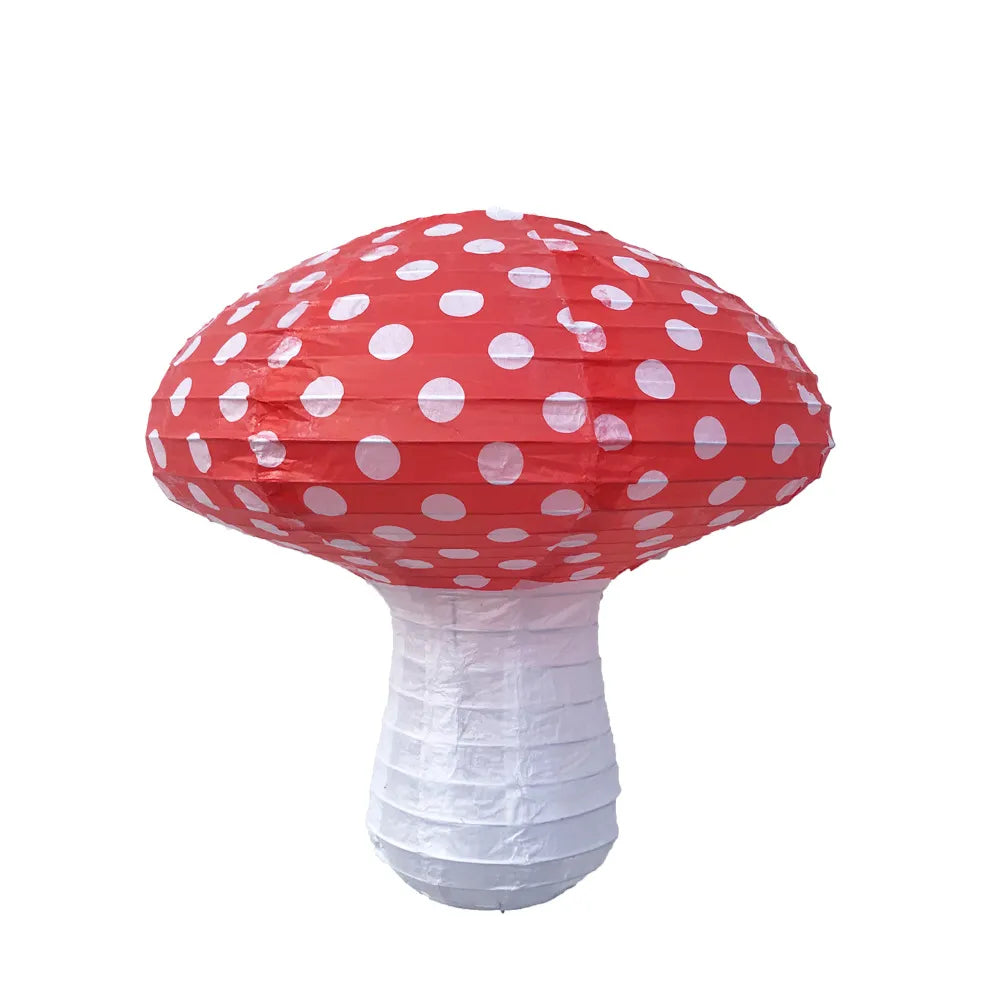 47867716829491|47867716862259
