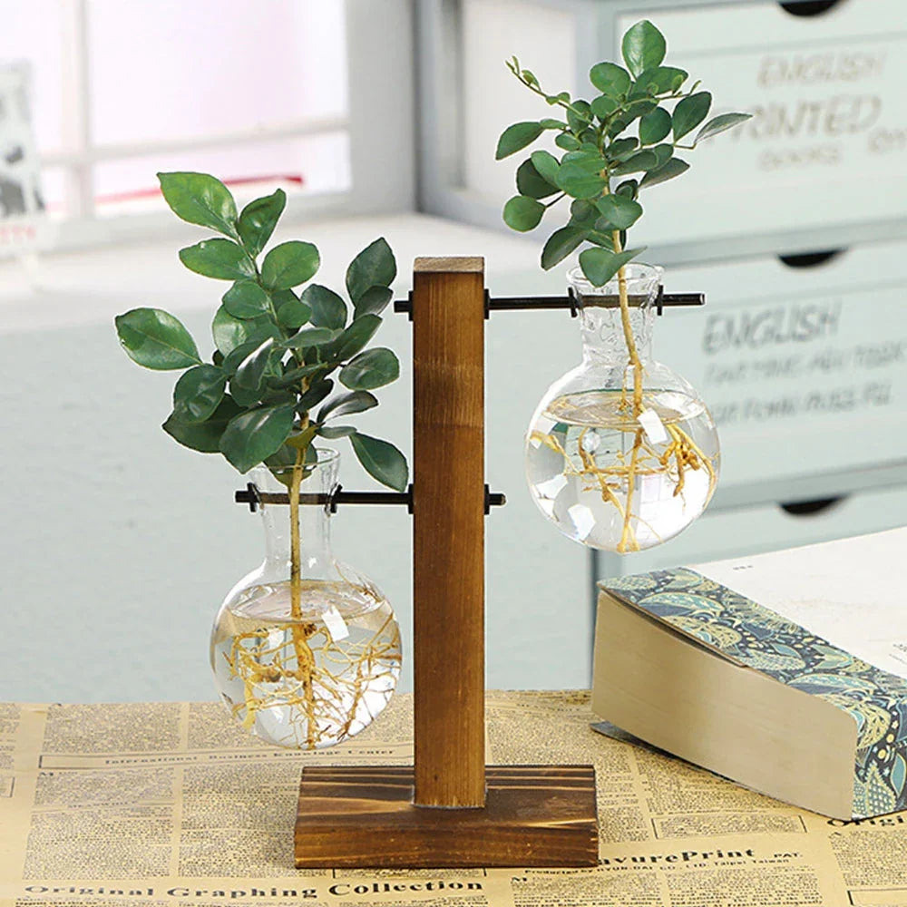 Glass Bulb Planter Vase - Wooden Stand Hydroponic Desktop Decor