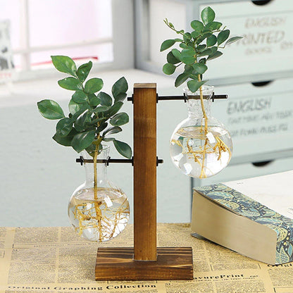 Glass Bulb Planter Vase - Wooden Stand Hydroponic Desktop Decor