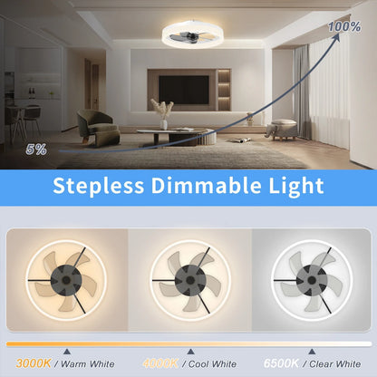 Simple LED Ceiling Fan Light with Remote Control - Infinite Dimming & 6 Wind Speeds, Chandelier Fan for Living Room & Bedroom