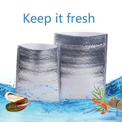 Aluminum Foil Cooler Bag – Insulated Folding Thermal Picnic Bag, Portable Food and Drink Delivery Carrier