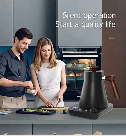 Electric Gooseneck Kettle 900ml — Smart Hand Brew Coffee Pot with Temperature Control & Rapid Heating, 110V/220V