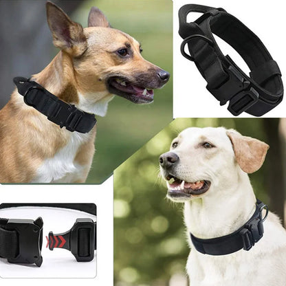 Adjustable Tactical Dog Collar with Traction Rope – Military Training Collar for Medium & Large Dogs