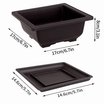 Purple Clay Succulent Plant Pots – Outdoor Garden Bonsai Planters, Rectangular & Square