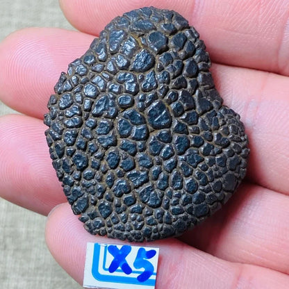 Natural Desert Stone - Decorative Gem for Feng Shui, Spiritual & Boho Home Decor