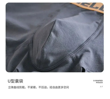 Pokemon Anime Men's Boxer Briefs — Charmander, Charizard, Bulbasaur, Gengar & Pikachu Antibacterial Underwear Shorts Gift