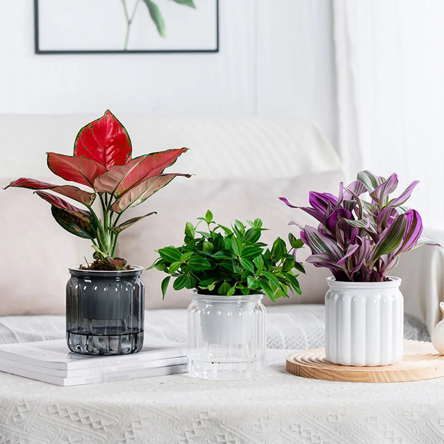 Modern Self-Watering Mini Round Flower Pot - Perfect for Succulents, Indoor Plants, and Effortless Gardening Decor