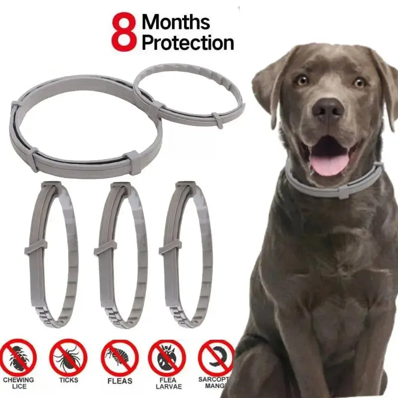 Dog & Cat Anti-Flea and Tick Collar – 8-Month Protection – Adjustable Pet Collar for Puppies, Cats, and Large Dogs