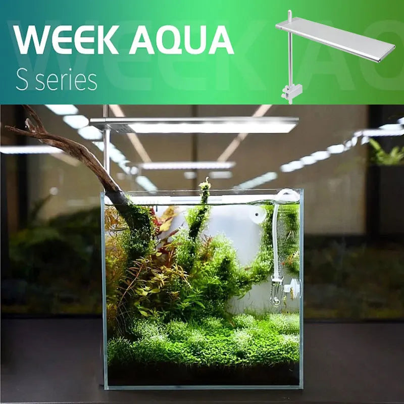 Week Aqua S Series WRGB Fishing Lamp – ADA Style LED Light for Aquariums, Fish Tanks, Fishbowls & Aquascaping Decoration