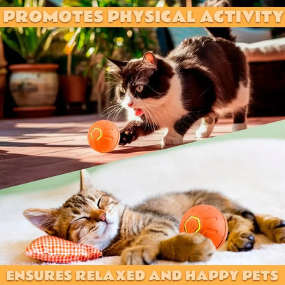 Smart Gravity Electric Bouncing Pet Ball Toy for Dogs and Cats – Interactive Automatic Rolling Amusement Toy for Pets