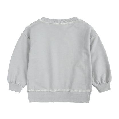 2PCS Kids Clothes Set for 1-7Y - Solid Cotton Pullover Sweatshirt & Pants, Long Sleeve Autumn Outfits for Boys & Girls
