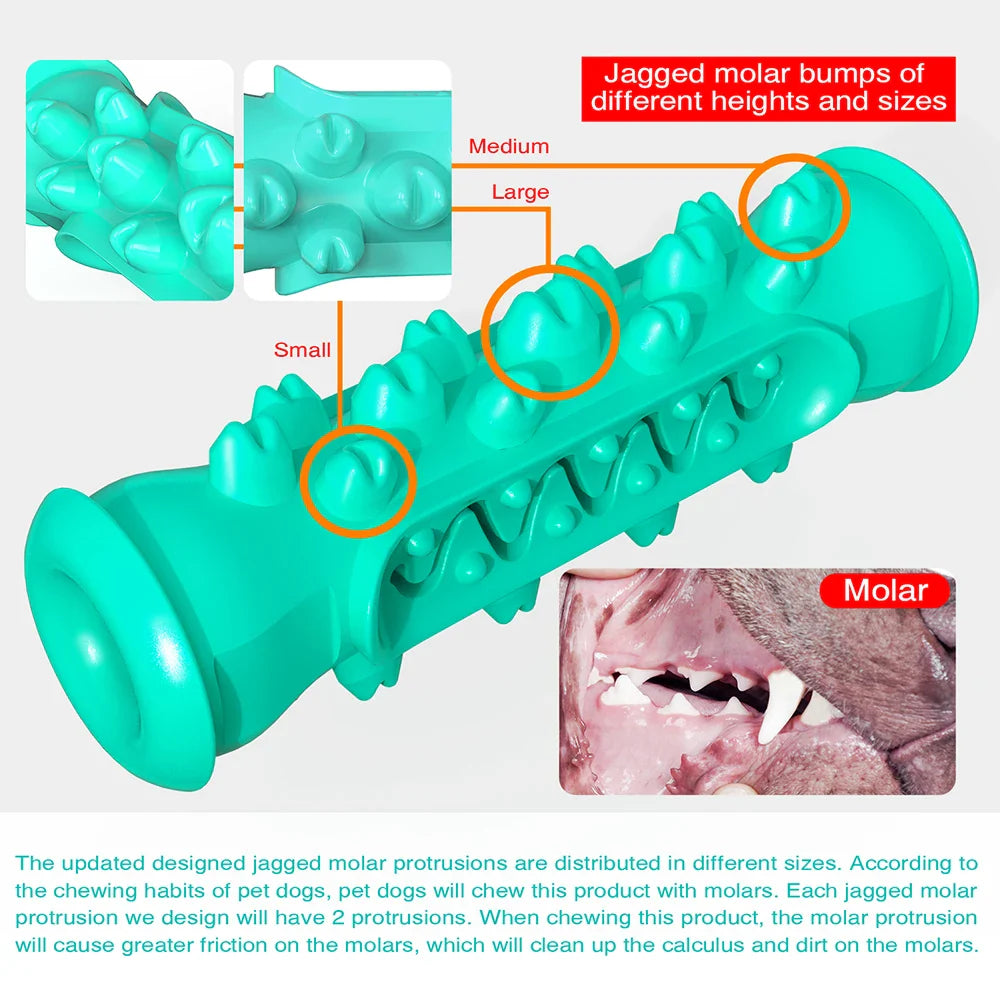 Dog Molar Toothbrush Stick Toys | Interactive Chew Toy for Small & Large Dogs, Cat Dental Cleaning