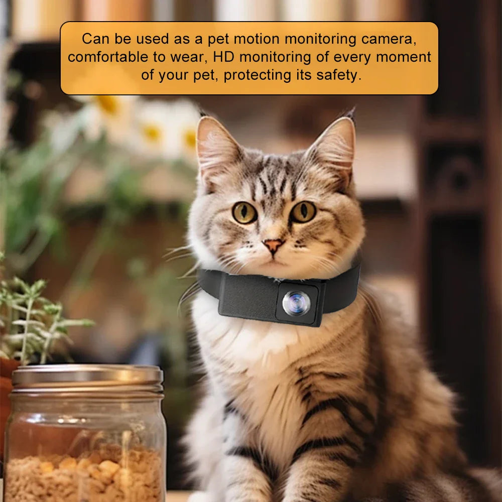 BORME HD 1080P Pet Camera – Wireless Collar Camera for Dogs and Cats, No WiFi Needed, Video Recording, Perfect Birthday Gift