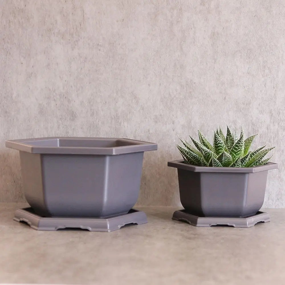 Hexagon Flower Pots – Succulent Box Planter, Plant Container for Home & Office Decor