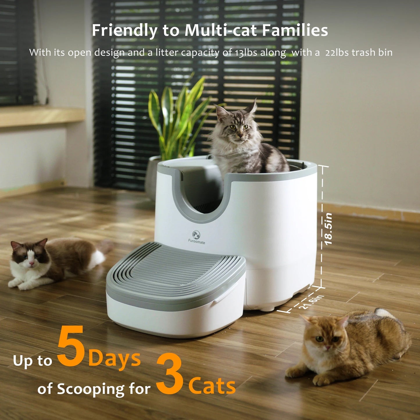 Self-Cleaning Cat Litter Box – Open-Top, Extra Large Capacity with Safety Sensors for Multi-Cat Homes