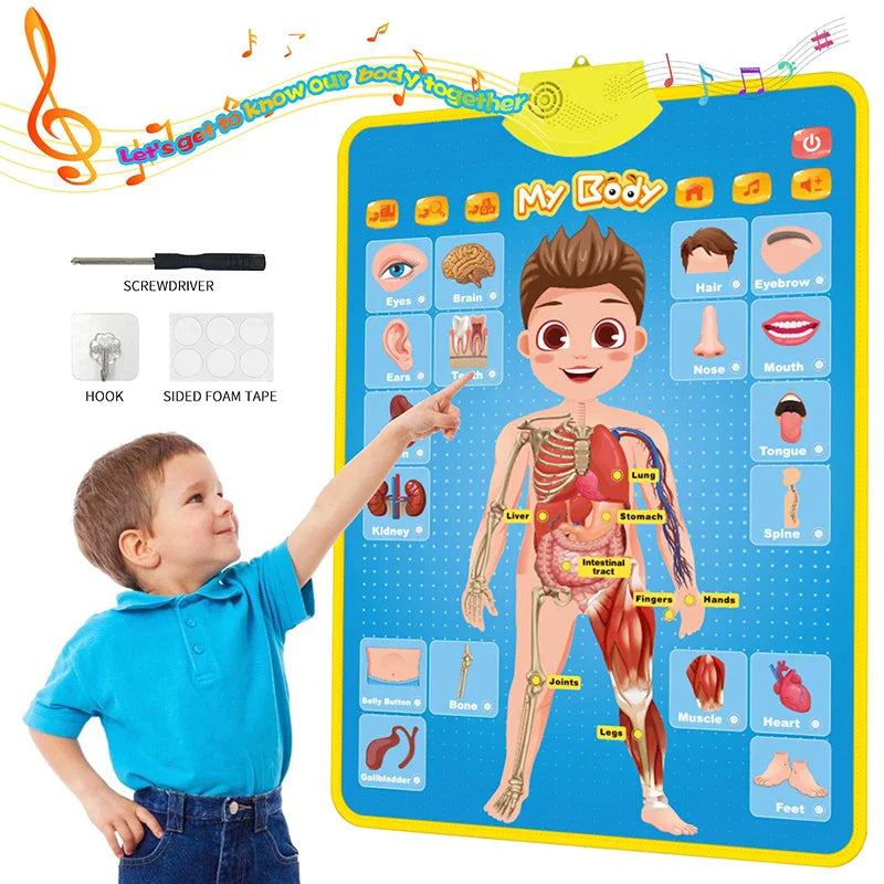 Electronic English Alphabet Wall Chart – Talking ABCs, 123s & Music Poster, Educational Learning Toy for Toddlers & Kids