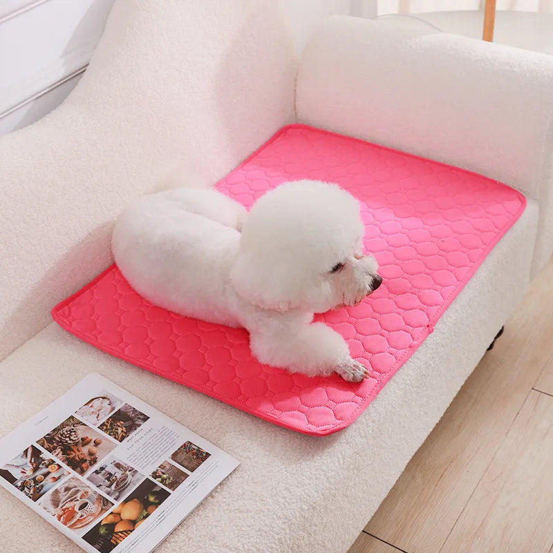 Reusable Dog Pee Pad Blanket – Absorbent Washable Puppy Training Mat & Pet Bed, Urine Protector for Car Seat, Pet Supplies