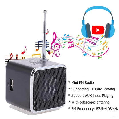 TD-V26 Portable Digital FM Radio & Wireless Speaker — Mini Stereo Receiver with LCD Display, SD/TF Card Support