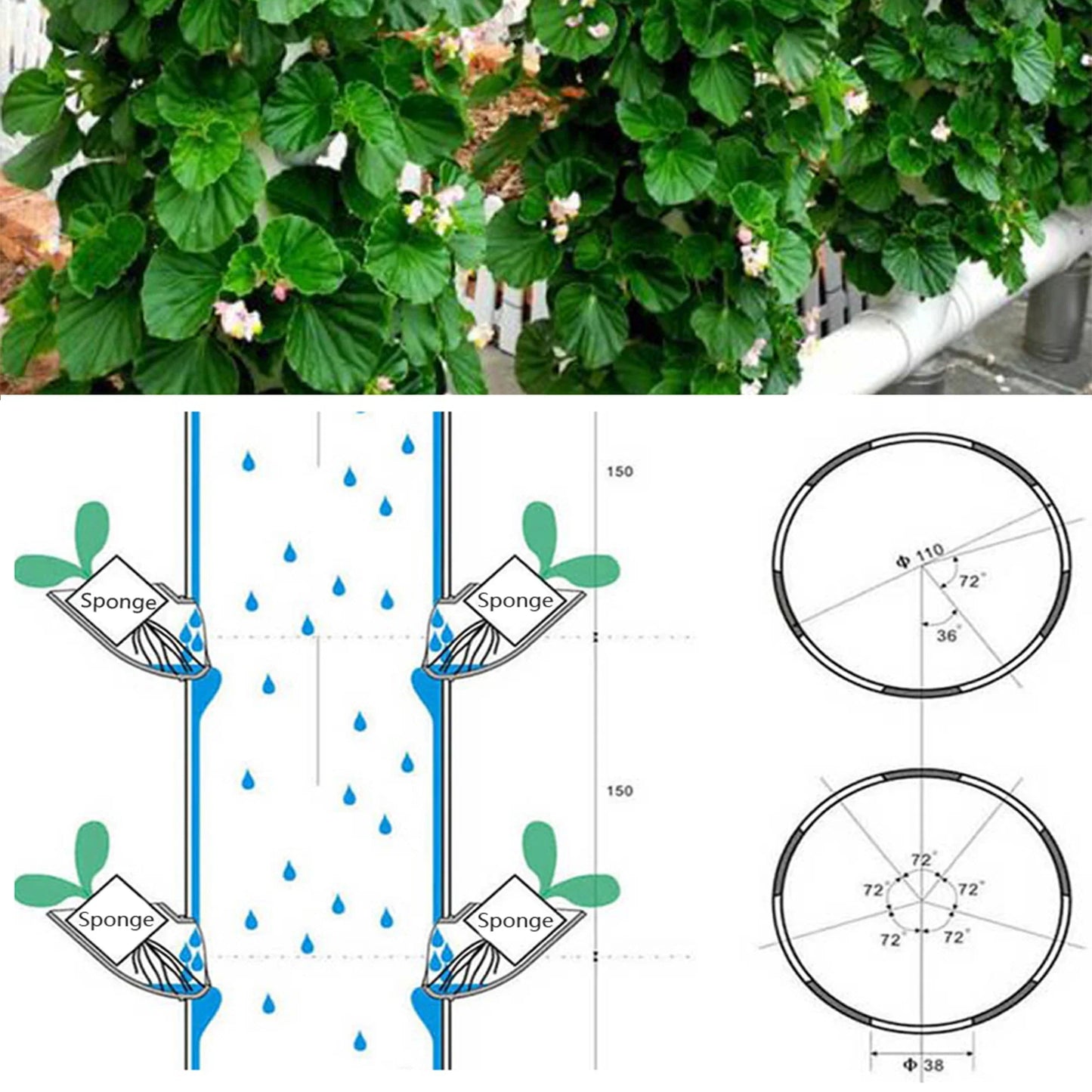 Hydroponic Lita Planting System — Soilless Fruit & Vegetable Garden with Alloy Multi-Tooth Drill