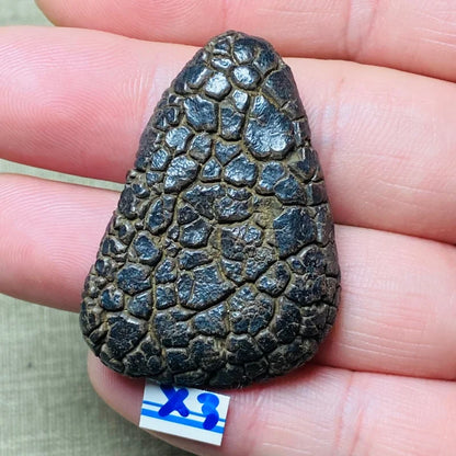 Natural Desert Stone - Decorative Gem for Feng Shui, Spiritual & Boho Home Decor