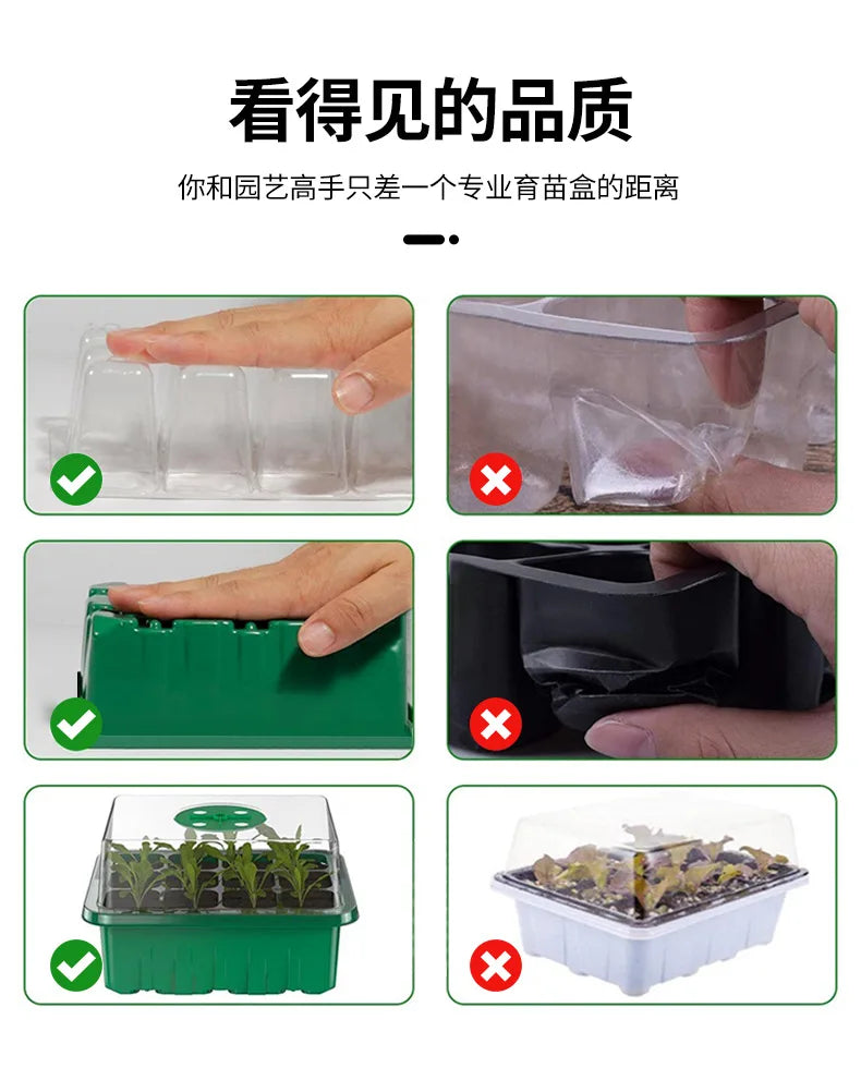 12-Well Plastic Seedling Tray | Insulated Pot for Succulent & Seed Sowing