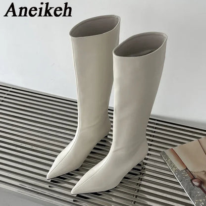 Aneikeh 2025 Fashion Sexy Pointed Low Heel Knee-High Boots – Women's Spring/Autumn PU Western Party Boots (Size 35-40)