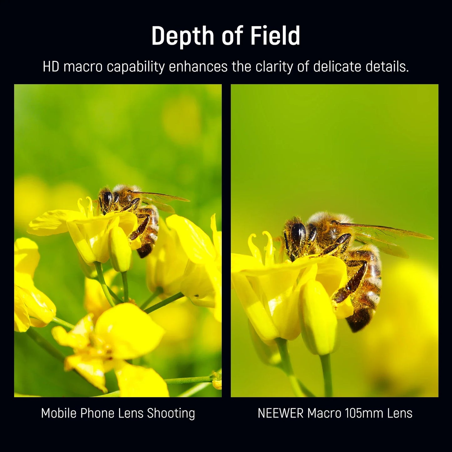 NEEWER 105mm HD Macro Lens - 17mm Thread Phone Lens for iPhone, Samsung, Xiaomi & Compatible Phone Cages