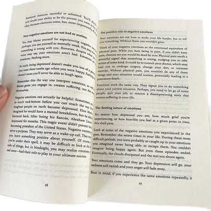 Master Your Emotions by Thibaut Meurisse – Overcome Negativity & Better Manage Your Feelings, English Original Novel