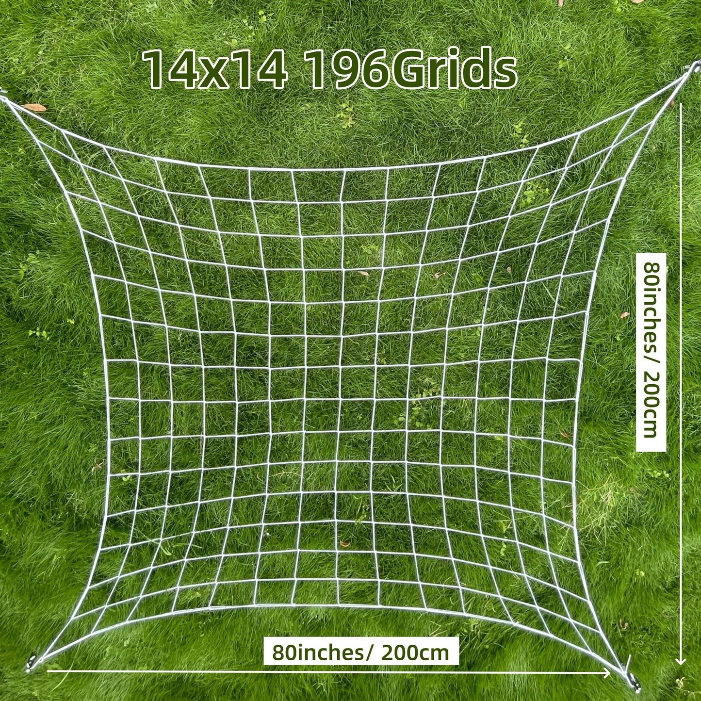 50353568809267
