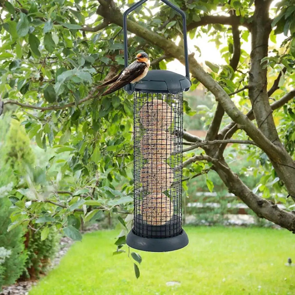 Hanging Bird Suet Feeder - Grease Ball Rack & Outdoor Food Dispenser for Small Wild Birds Feeding Station
