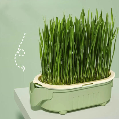Premium Soilless Hydroponic Growing Cup - Lazy Planting Solution for Hydroponic Cultivation - High-Quality, Easy-to-Use Design