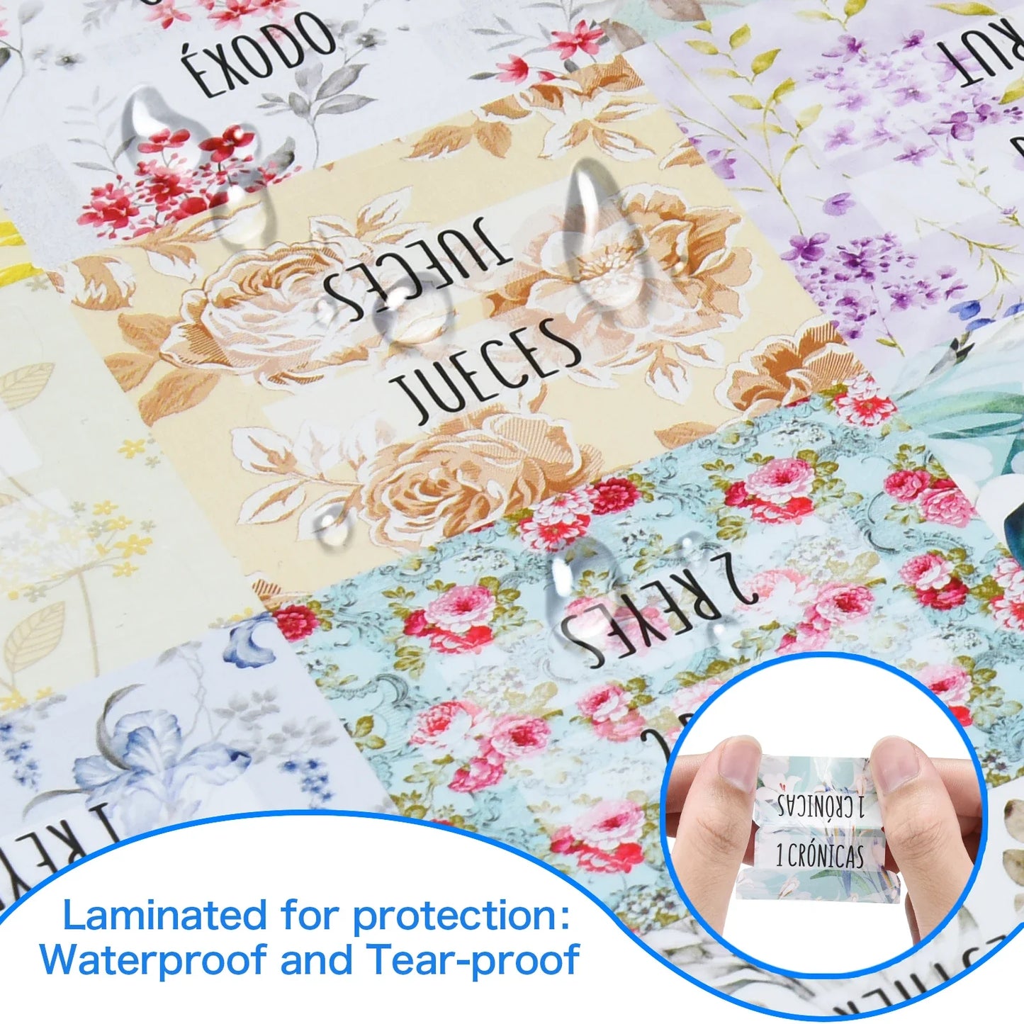 Spanish Bible Tabs - Large Print, Easy-to-Read Tabs for Women - 80 Total Bible Index Tabs