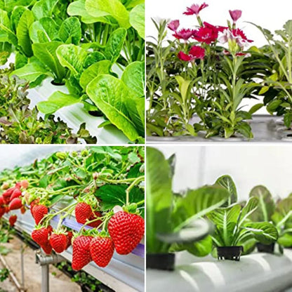 25PCS Hydroponic Mesh Net Pots – Soilless Plant Nursery Cups for Vegetable & Garden Growing