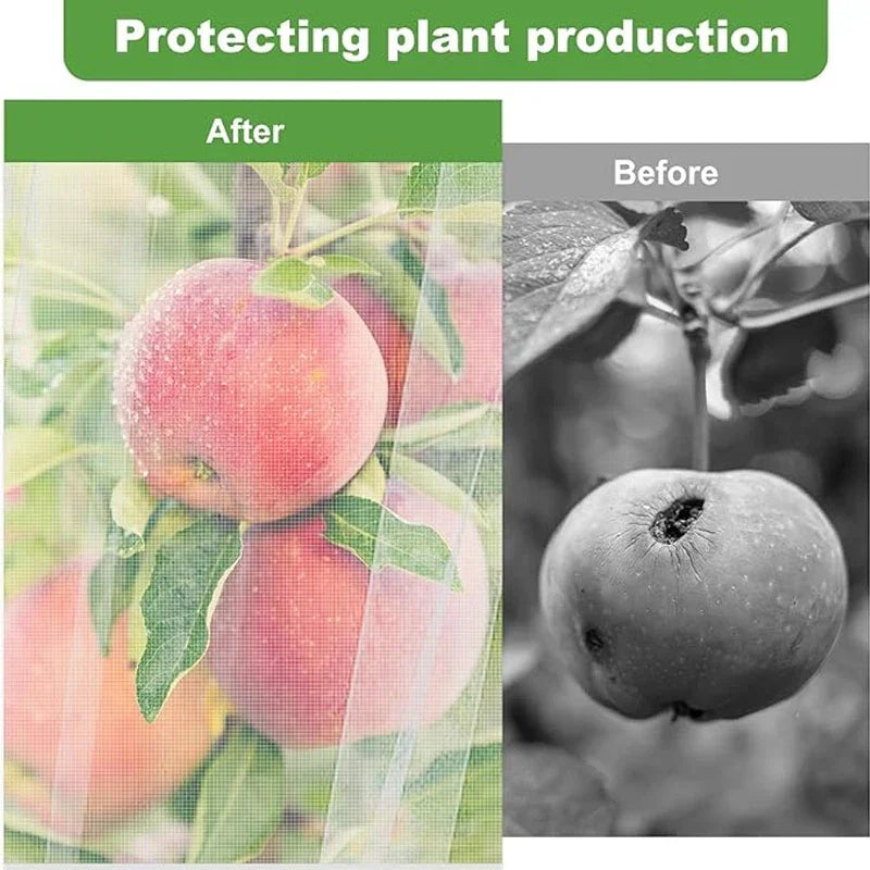 Large Fruit Tree Netting with Zipper & Drawstring – Transparent Insect & Bird Barrier Mesh for Garden Plants