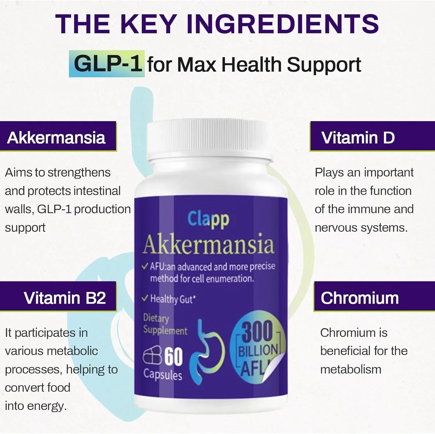 300 Billion AFU Akkermansia Muciniphila Probiotic – Live Digestion Support Supplement
