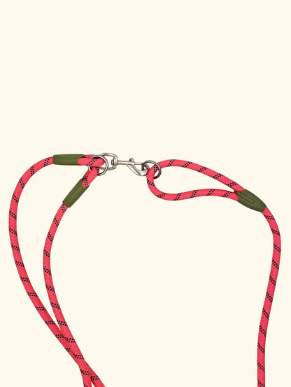 Reflective Nylon Dog Leash – Hands-Free Running & Walking Rope Lead for Small to Large Dogs