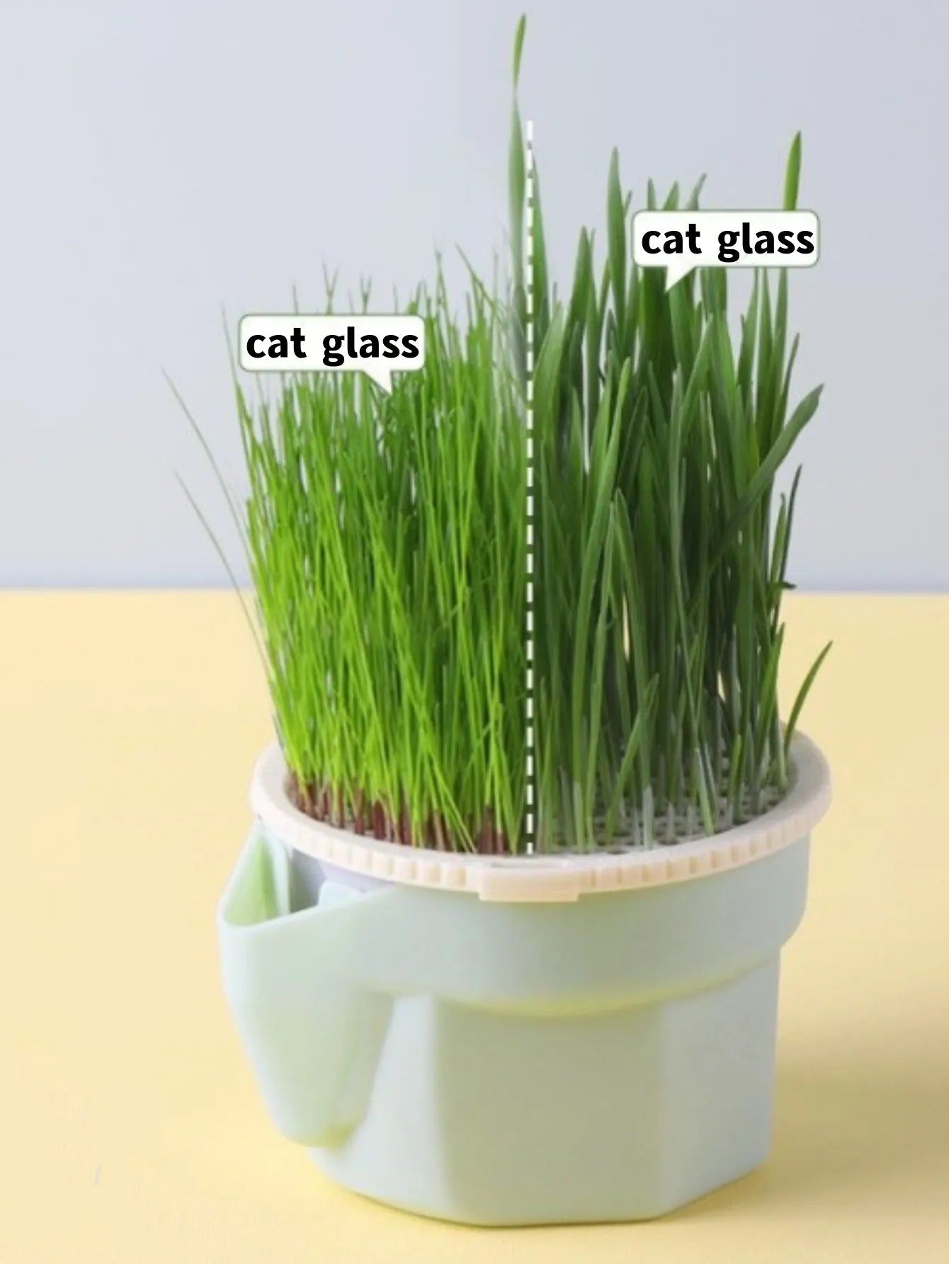 Hierarchical Design Cat Grass Cultivation Cup - Reusable Catnip Growing Container with Soilless Cultivation for Seed Germination Tray