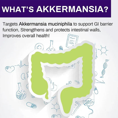 300 Billion AFU Akkermansia Muciniphila Probiotic – Live Digestion Support Supplement