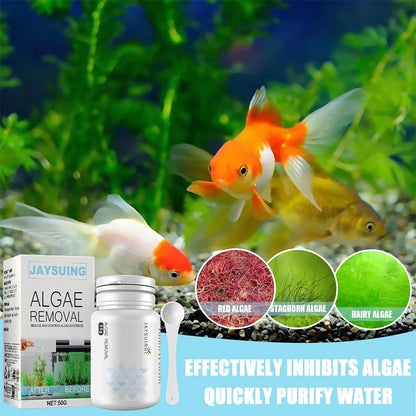 50g Aquarium Moss Remover – Fish Tank Water Purification & Algae Cleaning Powder, Includes Spoon for Easy Use