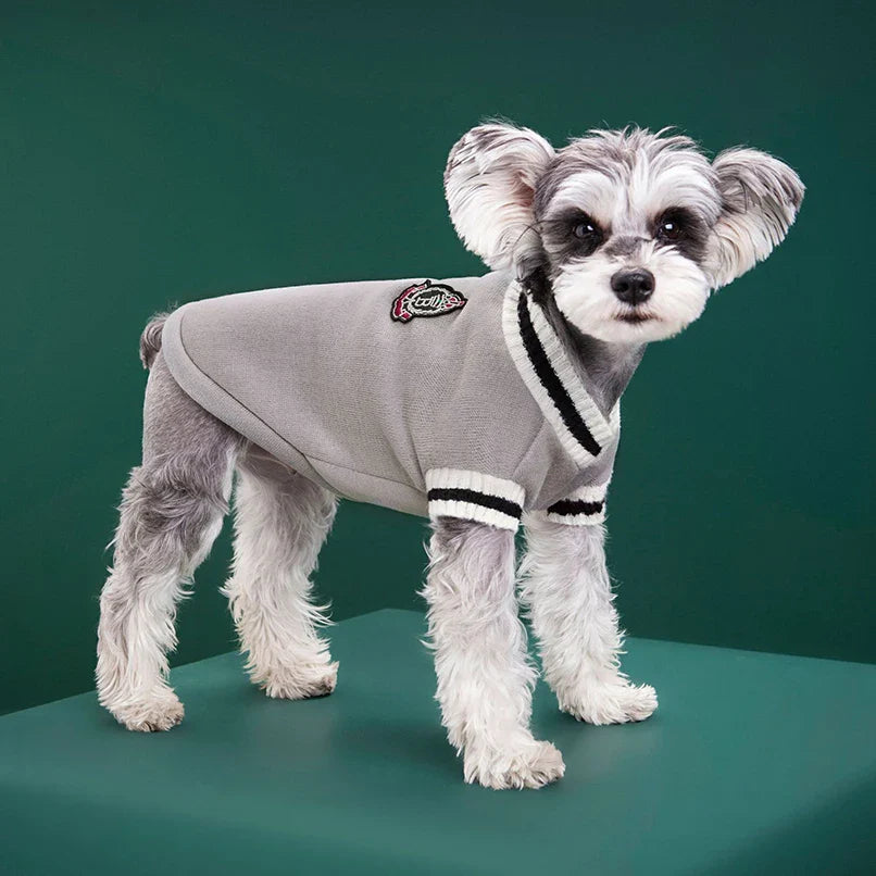 XS-5XL Pet College Style Sweater for Small and Large Dogs - Warm Vest Coat for French Bulldog, Yorkie, Chihuahua, and More