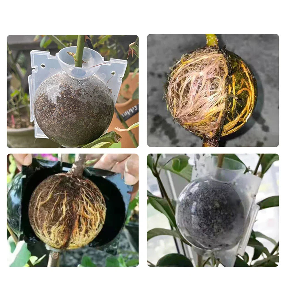 Reusable Plant Rooting Ball: Nursery Ball for Sapling Propagation, Grafting, and Breeding - Home Gardening Accessories