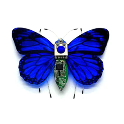 DIY Robotic Insect Kit - STEAM Science Electronic Animal Building Toy