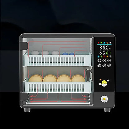 24-Egg Automatic Incubator — Touch Control Hatchery Machine for Chicken, Duck, Quail & Bird Eggs