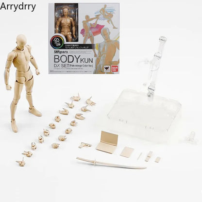 Sketch Drawing Figurines – Male & Female Movable Body Kun/Body Chan Anime Action Figure Mannequin