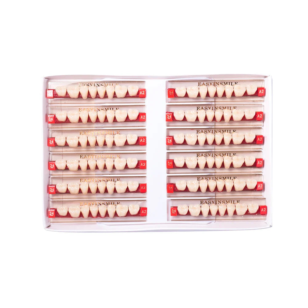 16/12 Set Dental Denture Teeth Model Kit, Upper & Lower Anterior Synthetic Polymer Teeth A2 A3 for Dental Education & Training