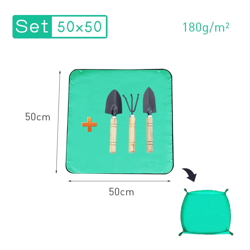 50353558749491